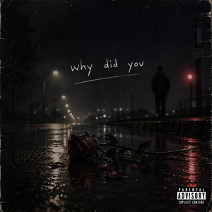 Why did you