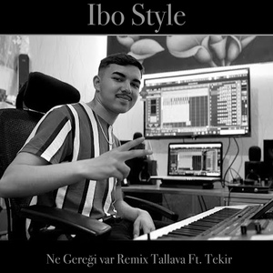 Ne Gereği var feat. Tekir (Remix)