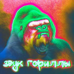 Звук гориллы перезалив