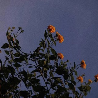 点滴浪漫| 小众向钢琴伴奏抒情曲