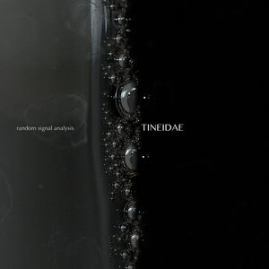 Kasatka (Medkit Remix)