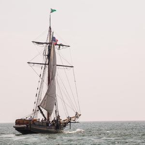 Aye Aye, Captain Bligh