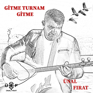 Gitme Turnam Gitme
