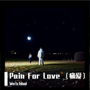 Pain For Love（痛爱）
