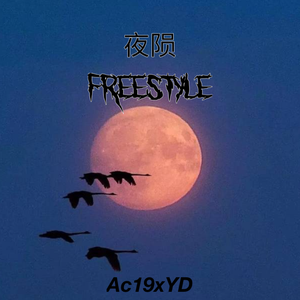 夜陨FREESTYLE
