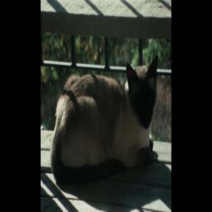 canción del jardinero