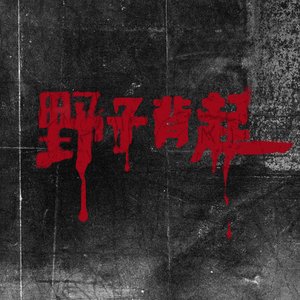 野子背起