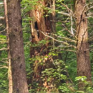 The Text I Never Sent You