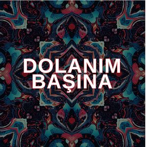 Dolanım Başına