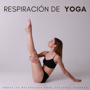 Prácticas De Yoga