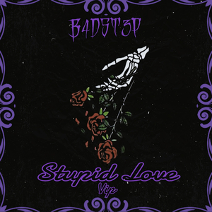 Stupid Love (VIP)