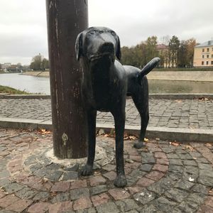 Вологда бля