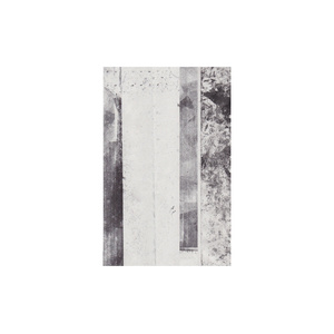 MEZZOTINT S