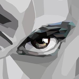 不像样pro by Ginsky