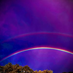 Company (feat. Dubich)