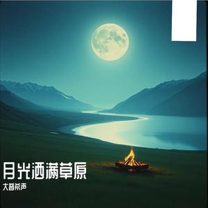 月光洒满草原