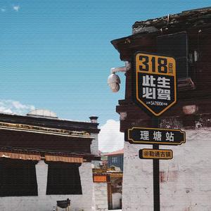 山路十八弯 (最嗨广场舞)