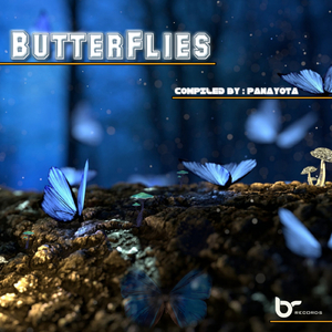 Butterflies (Original Mix)