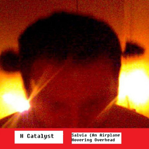 Salvia (An Airplane Hovering Overhead)