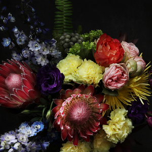 Happy Birthday Dark Star