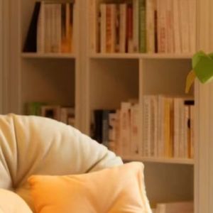 张碧晨-年轮（aka胡芳芳 remix）