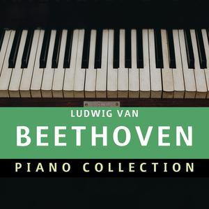 Sonata No.14 in C sharp minor: Ludwig van Beethoven