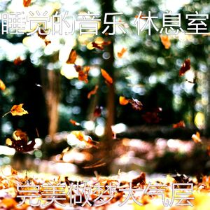 柔和的小憩时刻