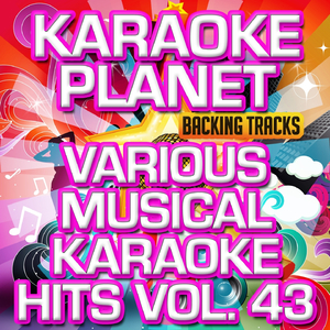 Das Lied Vom Meister (Karaoke Version)