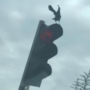 Paylaşılmış Bedenler