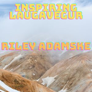 Inspiring Laugavegur