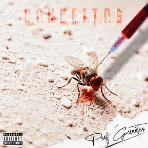 Meus Coceitos (part.Prod_Gunnter)