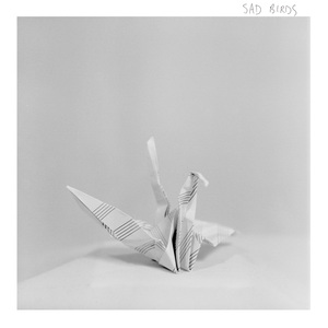 Sad Birds