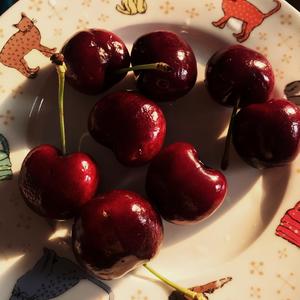 拾伍（prod.by TriggaFZ）