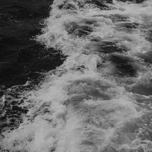 ずっと見ていたい