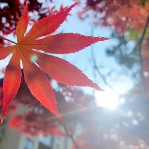 已经有了夏天的味道