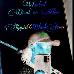 susejkcalbeippiH (aka) Palindrom Drone