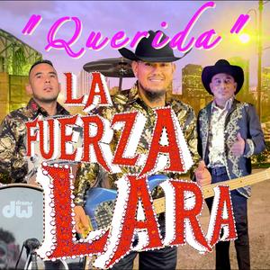 QUERIDA