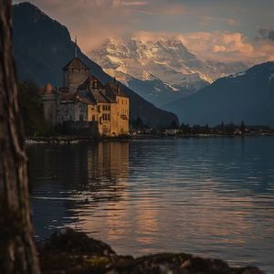 秋晨银杏叶里的暖阳幻景