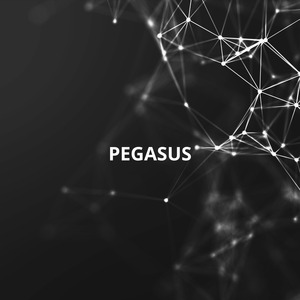 PEGASUS