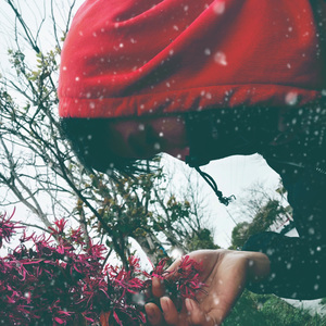 夏天的遗憾电音版