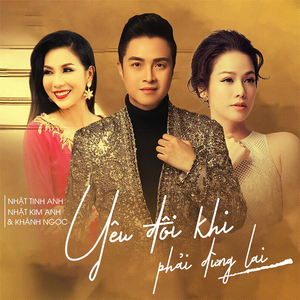 Yêu đôi khi phải dừng lại