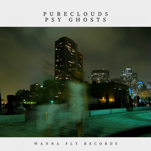 Psy Ghosts (Original Mix)