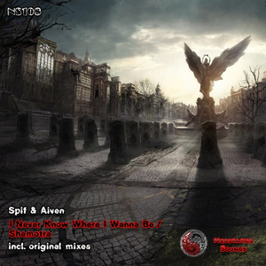 I Never Know Where I Wanna Be (Original Mix)