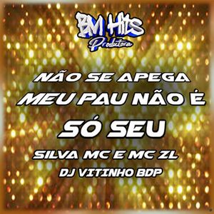 Não Se Apega Meu Pau Não É Só Seu