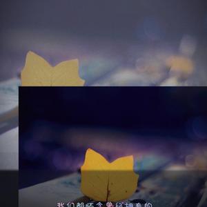 去年花开 (男生温柔版)