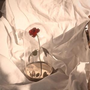 花期太短（prod by Lion-Z狮子）