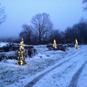 The Miracle of a Snowfall