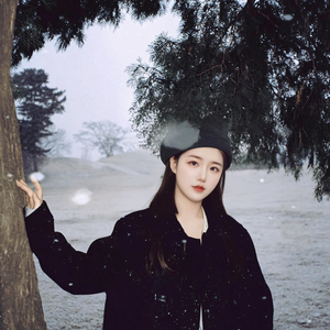 我会在这里——影视剧