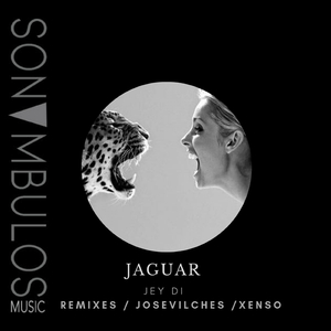 jaguar (original Mix)