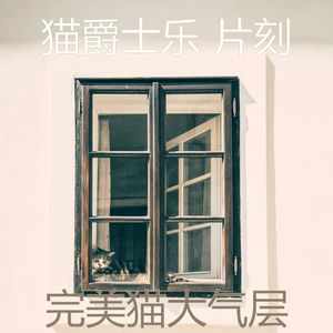 安静的猫在家声音